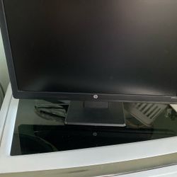 HP Monitor