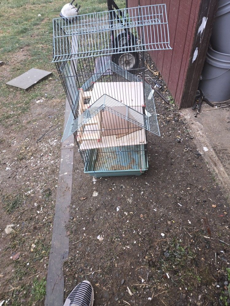 Cage
