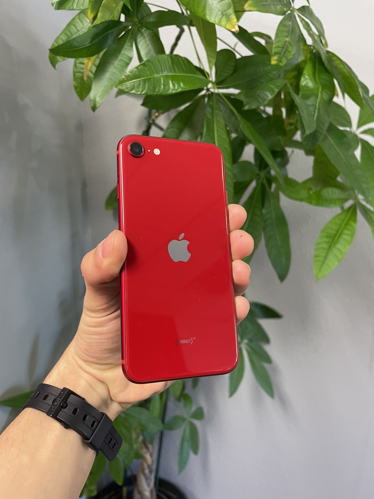 iPhone SE 2020 - Spectrum - 128GB