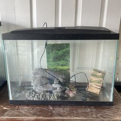 Fish tank with decor 