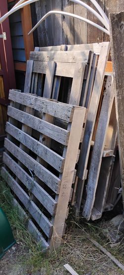 Free Clean wooden pallets