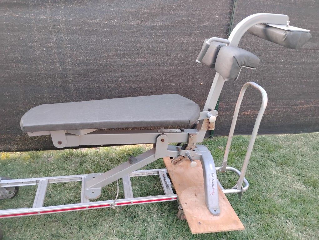 Freemotion Epic Ab Bench Commercial Gym Quality