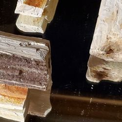 Petrified Wood Collection