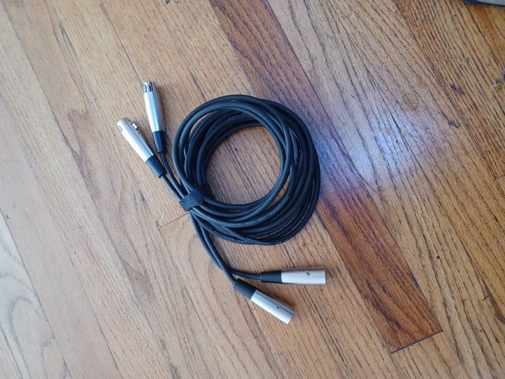 10 Ft XLR Plug To Jack X 2