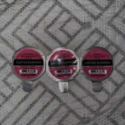 Cactus blossom car fragrance refills