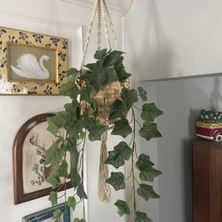 Faux Ivy Plant On Macrame Hanger
