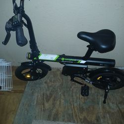 E Bike 