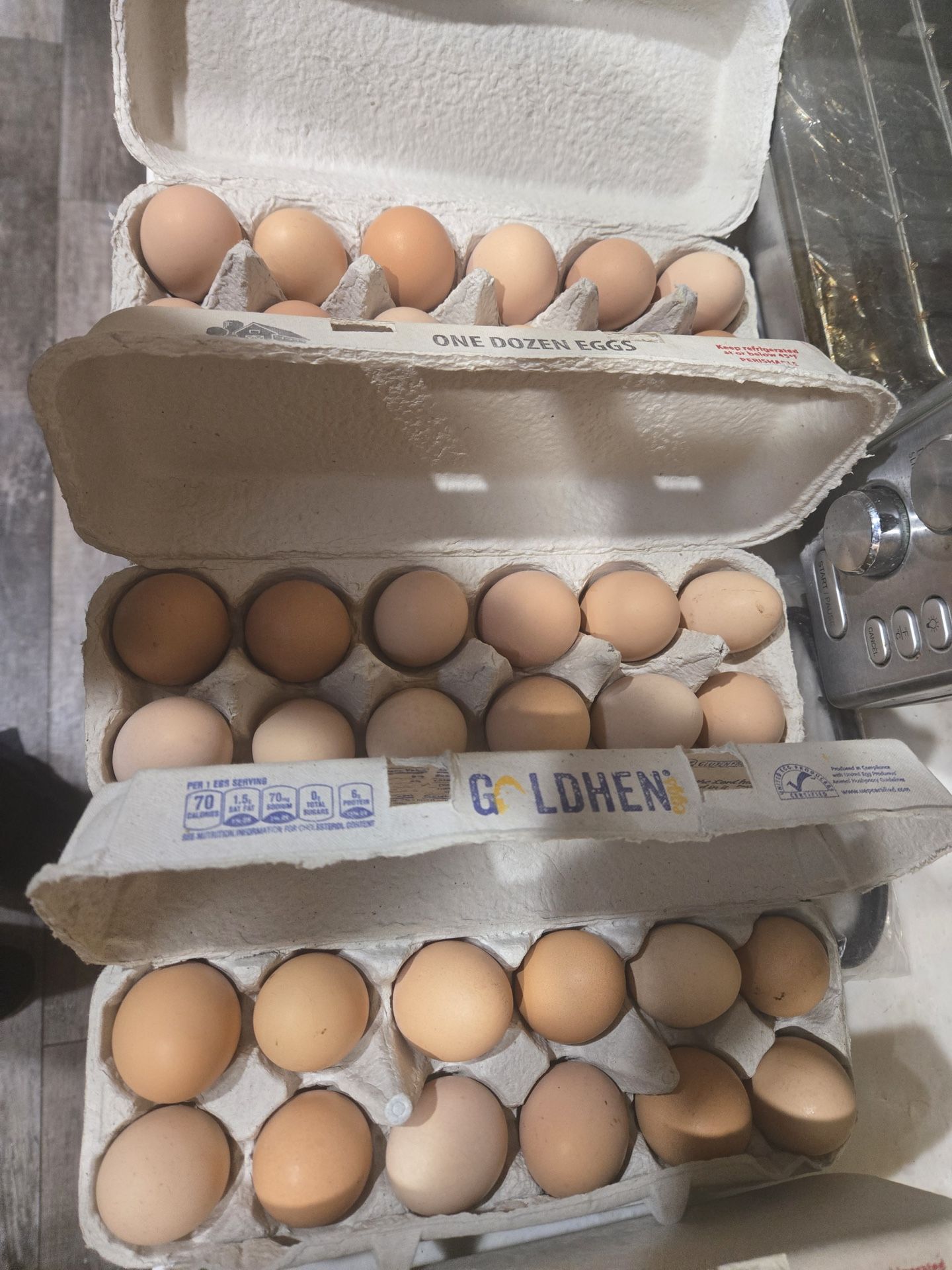 Eggs  Eggs Eggs!