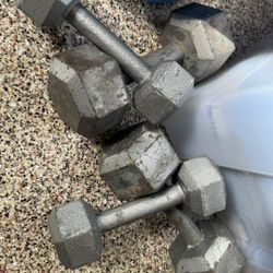 20s + 10s Lbs Dumbbell Weights