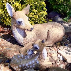 Yard Art:  Momma and Baby Deer