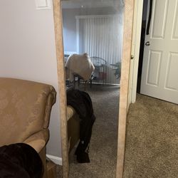 Gold Full Length Mirror