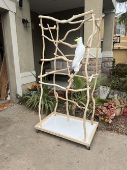 Parrot Jungle - Parrot Structure - Bird Stand