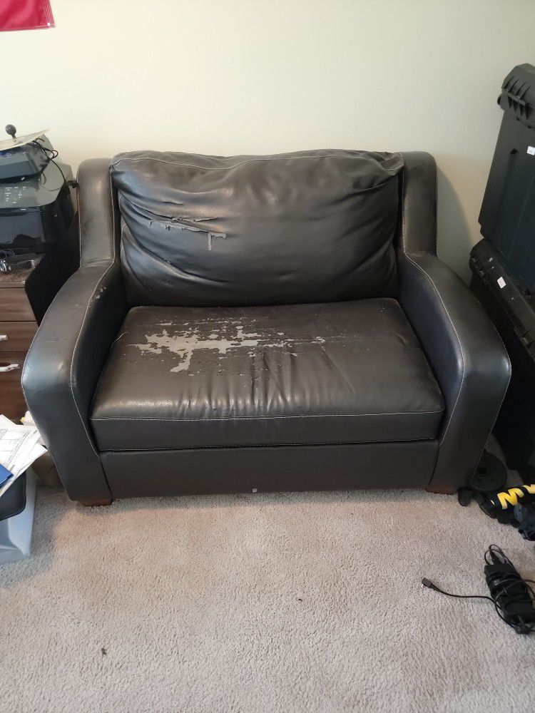Love Seat Couch With Pull Out Twin Bed 