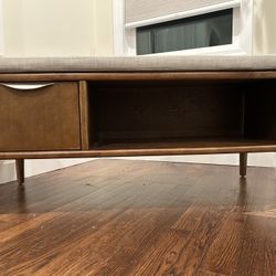 Bench With Cushion And Storage 