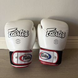 Fairtex BGV1 (16oz) Gloves 
