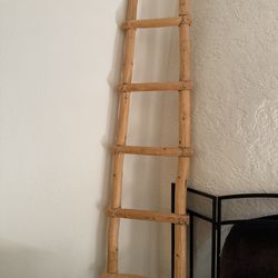 Wood Ladder 