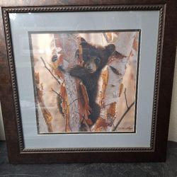 Very Nice Bear Print 