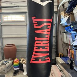 Everlast heavy bag 