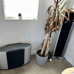 Vienna Acoustics Schonberg Webern Berg 5.1 Surround Sounds