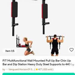 Wall mount pull up bar
