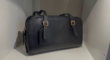 Coach swing zip