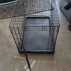 Dog Kennel 