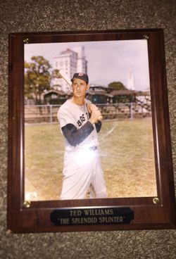 Ted Williams picture plaque
