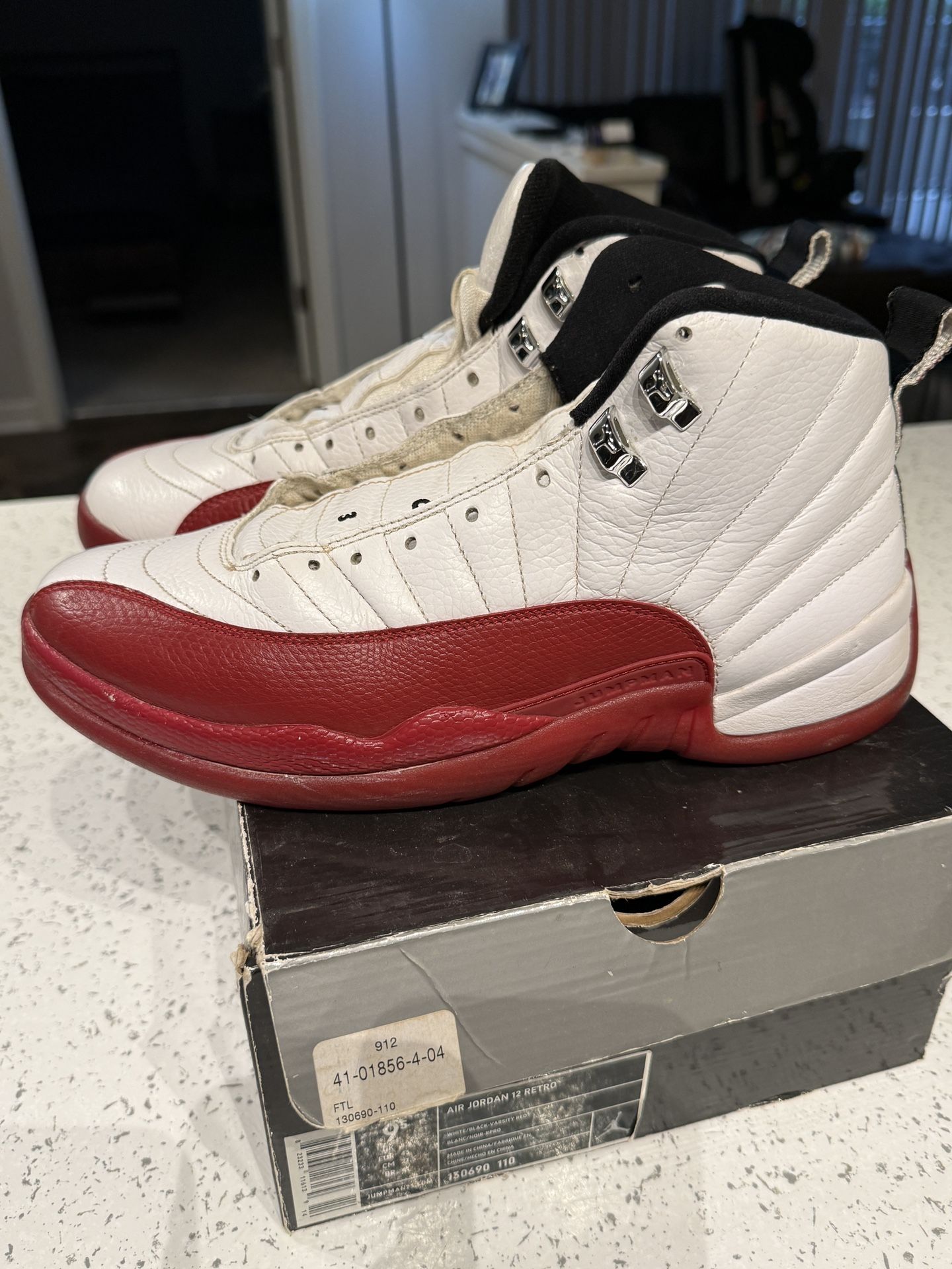 Size 9.5 Jordan 12 retro