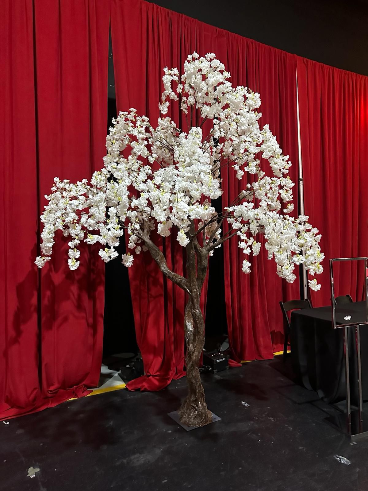 White cherry blossom tree x 4 units the price is for each