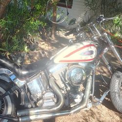 89' Fxst Harley Davidson