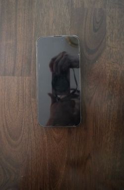 iPhone 14 Pro Max (Unlocked) 256GB