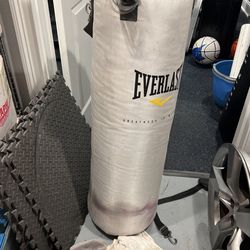Everlast Boxing Bag 