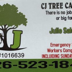 Tree Service 