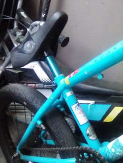 Specialized