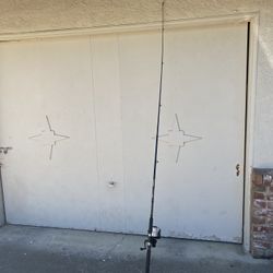 Fishing Pole 