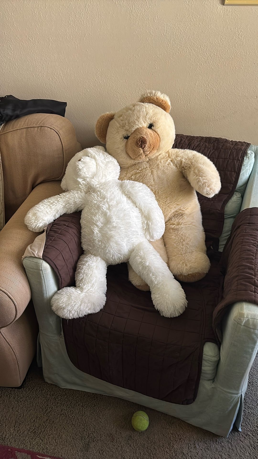 2 large teddy Bears