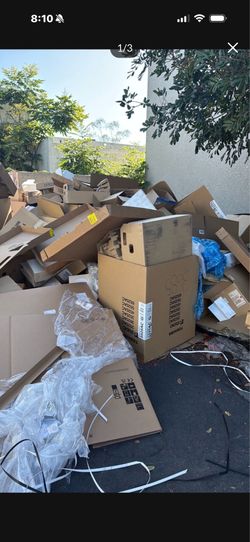 Lots of free cardboard