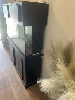 Fish Tank. Used.
