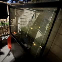 50 Gallon Fish Tank W/Stand