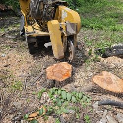 Stump Grinding 