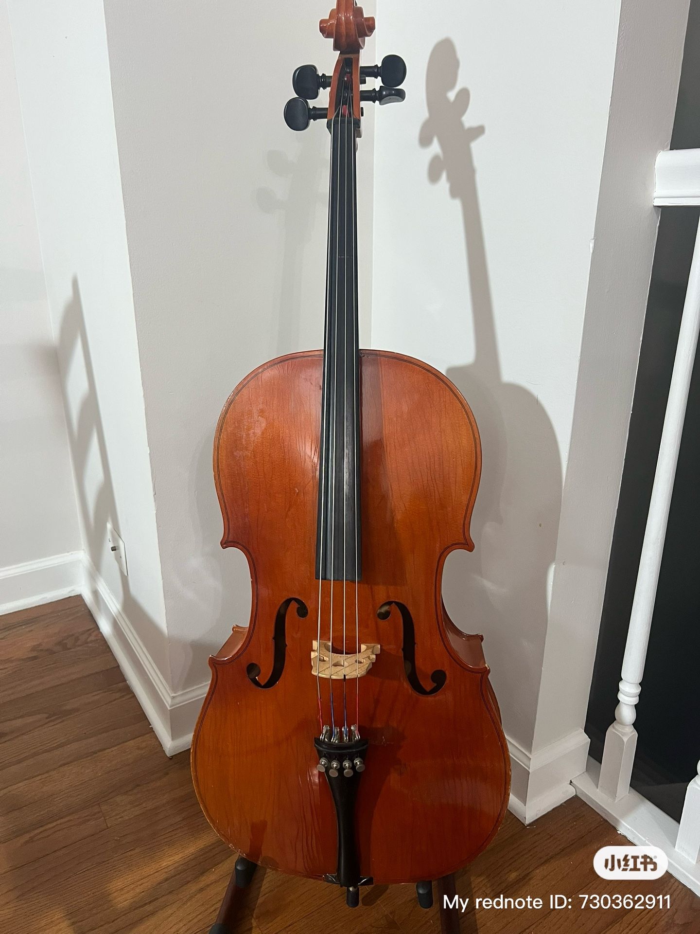beautiful Karl Knilling No. 15350 1/2-size cello