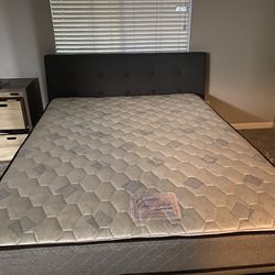 IKEA Modern Queen Bed-Frame With Box Spring