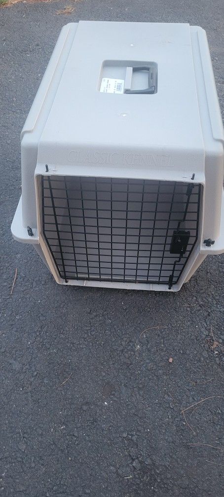Dog Kennel
