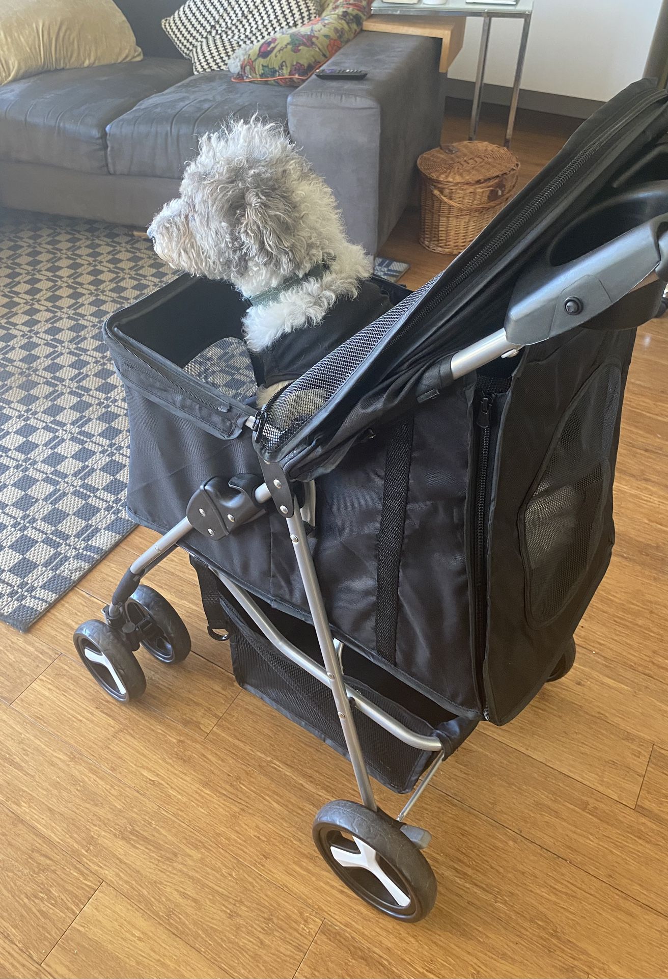Black Dog Stroller - Like New