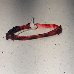 Extra Small Xs Dog Collar 