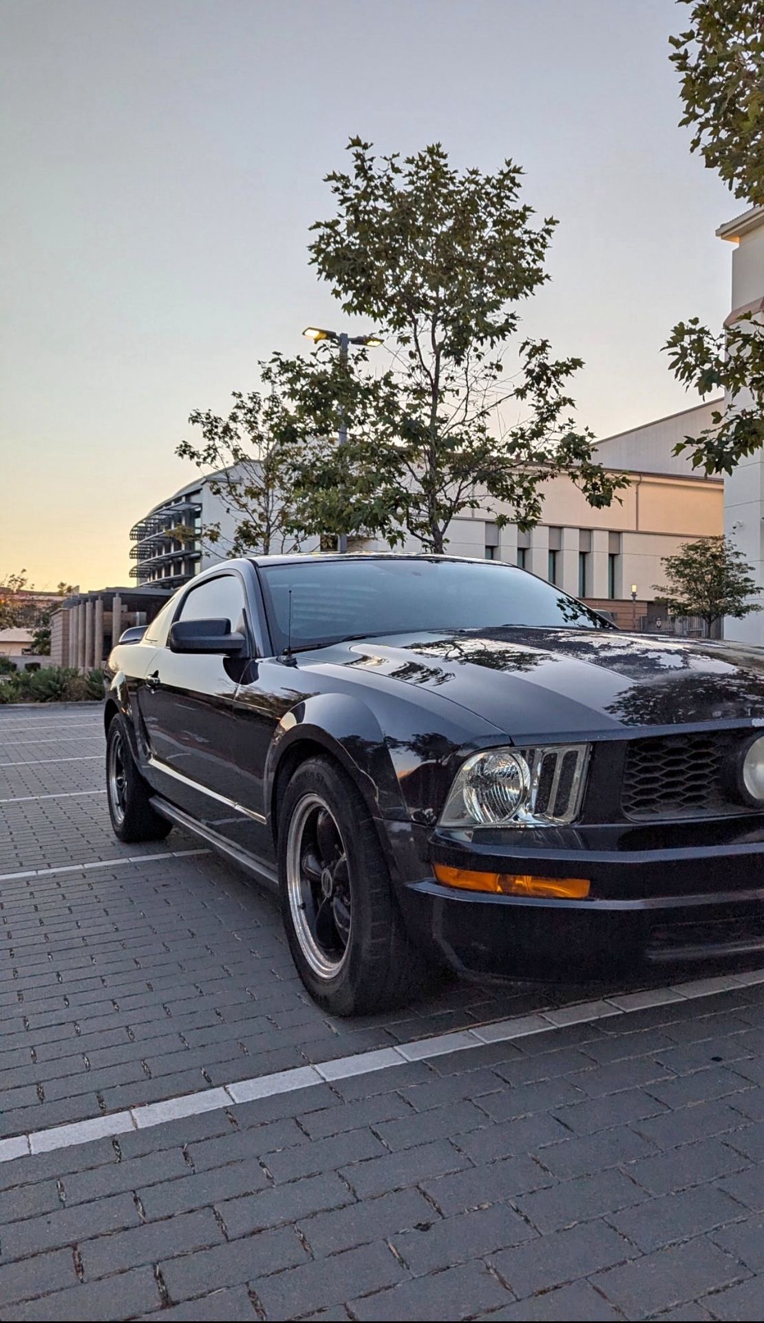 2007 Ford Mustang