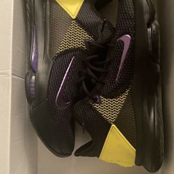 Lebron Witness Iv 