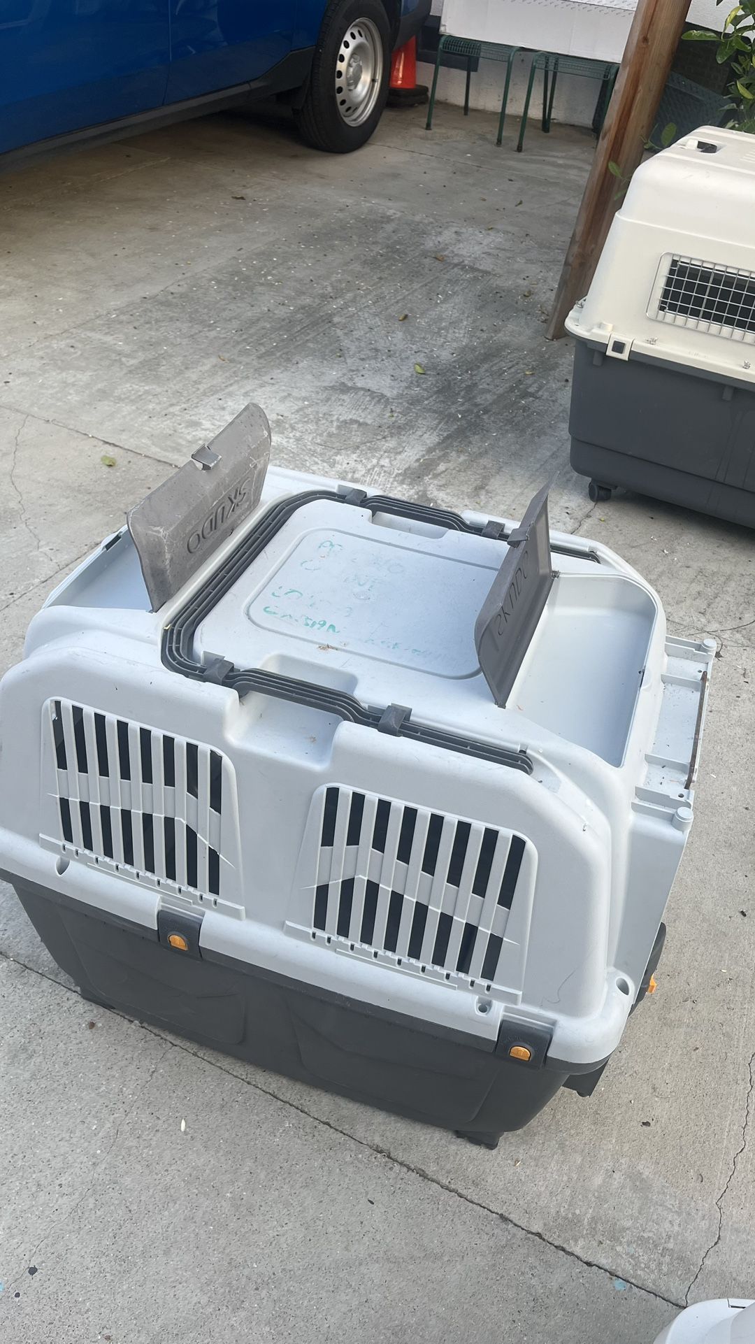 Dog Kennel