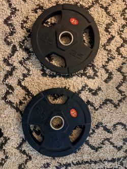 25lb EZ curl barbell weights