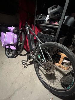 Luna ebike